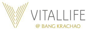 vtl-logo-color